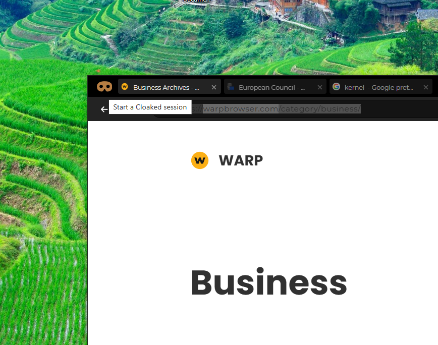 Cloak-Warp’s private browsing mode